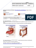 3ºeso-Aparatos Del Cuerpo