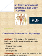 Anatomy Chapter 1 Anatomical Regions (Chapter 1)