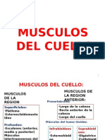 Musculos de Cabeza y Cuello