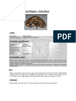 Ball Python - Caresheet