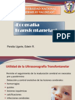 Ecografia Transfontanelar 14