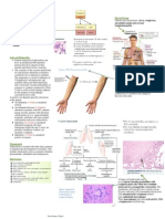 Tuberculosis: Adventitial Sounds and Cervical Lymphadenopathy