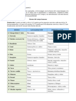 Anatomia Tarea 3