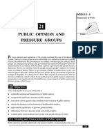 21 - Public Opinion and Pressure Groups (277 KB)