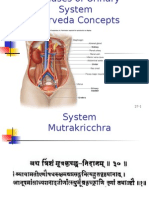 Diseases of Urinary System - Ayurveda Concepts