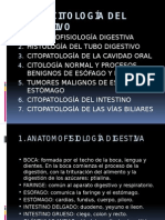 Citología Del Digestivo