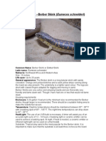 Care Sheet - Berber Skink (Eumeces Schneideri)