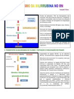 Fisiopatologia Da Bilirrubina Ictericia