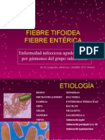 Fiebre Tifoidea