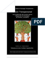 Libro Vision Transpersonal Lic Virginia Gawel