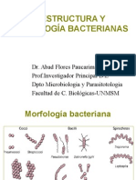 Estructura y Morfología Bacterianas