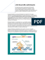 Genetica Del Desarrollo Embrionario