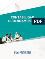 Ae - Contabilidad Gubernamental