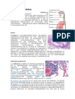 Bronquitis Crónica