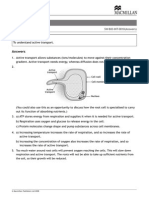 Active Transport Worksheet Answers