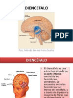 Diencefalo