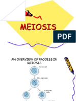 Meiosis