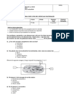 8° Prueba Celula Forma B