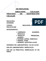 Informe de Biología 2