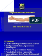 Región Antebraquial Anterior