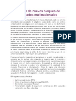 Ensayo de Nuevos Bloques de Mercados Multinacionales