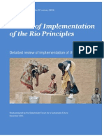 Rio Principles PDF