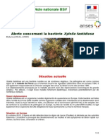 Note Nationale Xylella Fastidiosa.