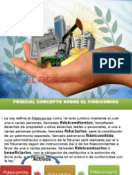 El Fideicomiso PDF