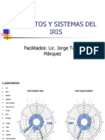  Iridologia Aparatos y Sistemas Del Iris