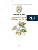 Cultivo de Soya