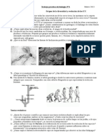 TP de Evolución 2°B 2013