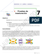 Practica 7 Pruebas de Insaturacion