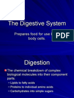 The Digestive System Powerpoint 1227698045024899 8