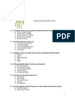 Cuestionario Anatomía Estructural