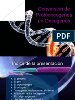 Conversion de Protooncogenes en Oncogenes