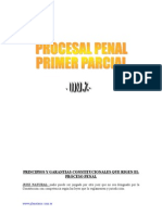 (Deluxe) RESUMEN PARCIAL PROCESAL PENAL