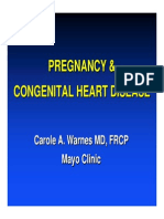 ACHA Pregnancy Webinar