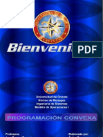 Programacion Convexa