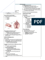 Neuroscience Notes