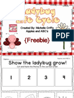 Lifecycle of A Ladybug Freebie