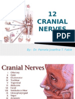 12 Cranial Nerves: By: Dr. Pamela Josefina T. Fabie