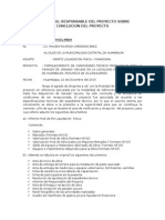 Informe Del Responsable Del Proyecto