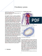 Circulatory System