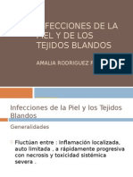 Infecciones de Piel y Tejidos Blandos