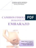 Cambios Fisiologicos Embarazo