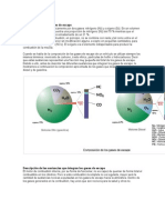 Componentes de Los Gases de Escape