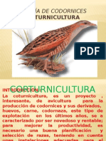 CORTURNICULTURA