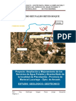 Informe Final Piscobamba