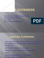 Anexos Cutaneos