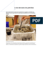 Experimento de Derrame de Petróleo